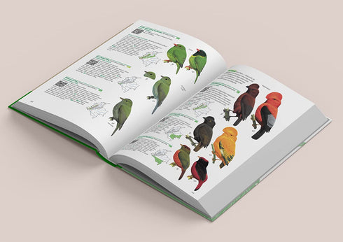 Birds of Colombia -Hilty 2021 Kovakantinen